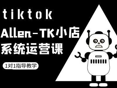 TK小店系统运营课-tiktok跨境电商教程-一新网创