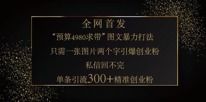 小红书神奇图片引流法，只需一张图，就能单条笔记凭借此方法，轻松引流 300 + 精准创业粉-一新网创