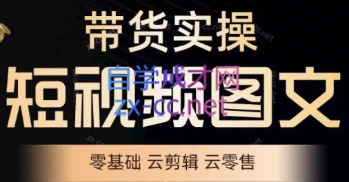 鑫哥·2024零基础短视频带货实操营-一新网创