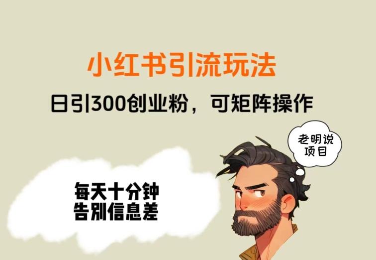 靠小红书视频日印300粉，两分钟一个视频轻松矩阵-一新网创