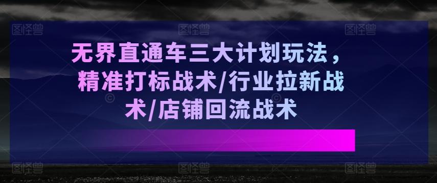 无界直通车三大计划玩法，精准打标战术/行业拉新战术/店铺回流战术-一新网创