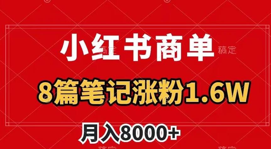 小红书商单最新玩法，8篇笔记涨粉1.6w，作品制作简单，月入8000+【揭秘】-一新网创