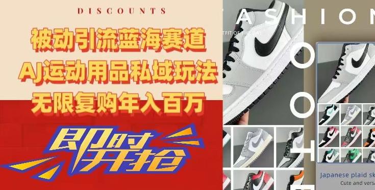 被动引流蓝海赛道，AJ运动用品私域玩法，无限复购年入百万【揭秘】-一新网创