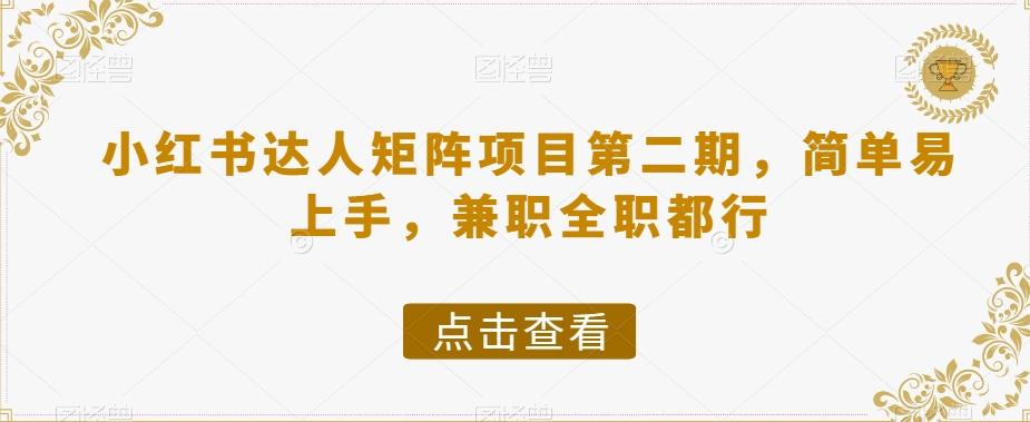 小红书达人矩阵项目第二期，简单易上手，兼职全职都行-一新网创