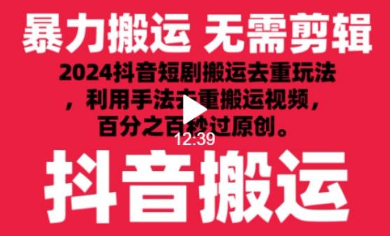 2024最新抖音搬运技术，抖音短剧视频去重，手法搬运，利用工具去重，达到秒过原创的效果【揭秘】-一新网创