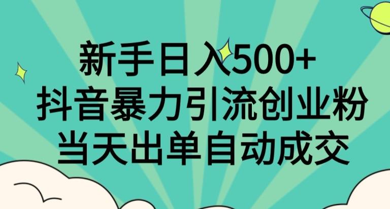 新手日入500+，抖音暴力引流创业粉，当天出单自动成交-一新网创