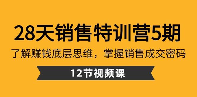 28天销售特训营5期：了解赚钱底层思维，掌握销售成交密码（12节课）-一新网创