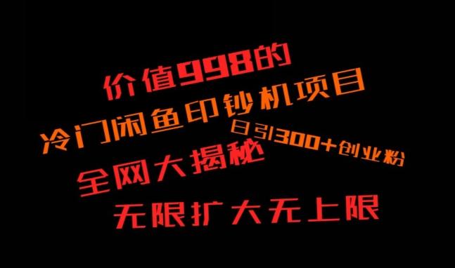 闲鱼流量印钞机项目大揭秘，日引300+创业粉，保姆级实操教程-一新网创