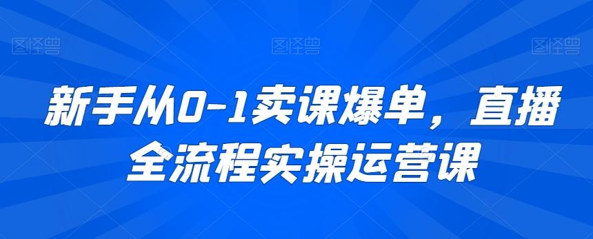 新手从0-1卖课爆单，直播全流程实操运营课-一新网创