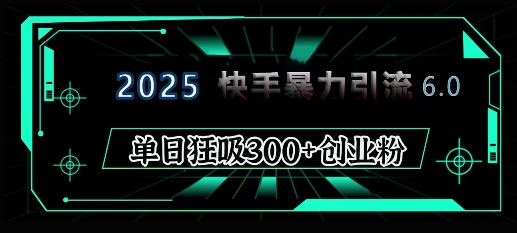 2025年快手6.0保姆级教程震撼来袭，单日狂吸300+精准创业粉-一新网创