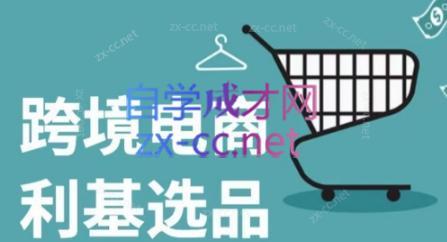 阿甘·2024年跨境电商选品案例(更新)-一新网创