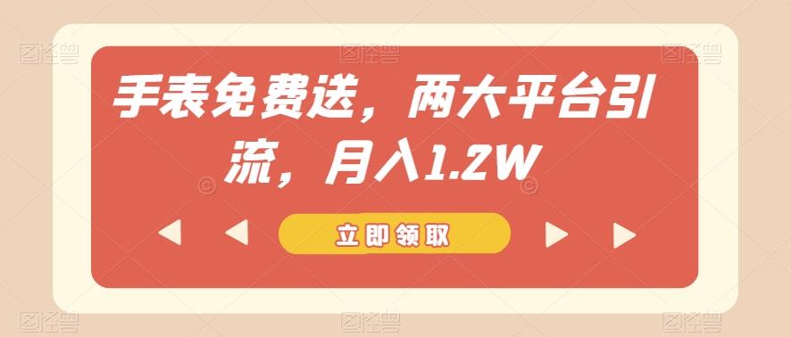 手表免费送，两大平台引流，月入1.2W【揭秘】-一新网创