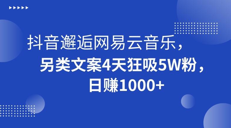 抖音邂逅网易云音乐，另类文案4天狂吸5W粉，日赚1000+【揭秘】-一新网创