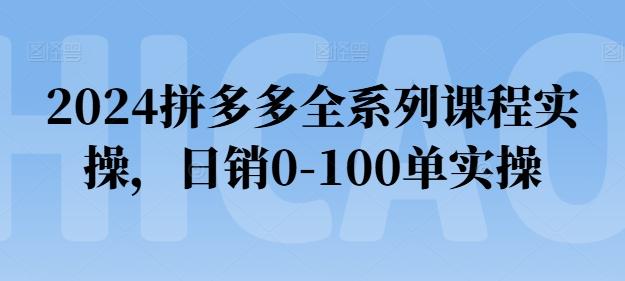 2024拼多多全系列课程实操，日销0-100单实操【必看】-一新网创
