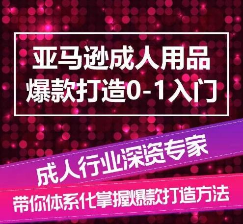 亚马逊成人用品爆款打造0-1入门，系统化讲解亚马逊成人用品爆款打造的流程-一新网创
