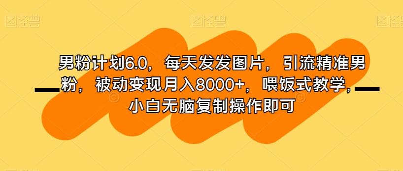 男粉计划6.0，每天发发图片，引流精准男粉，被动变现月入8000+，喂饭式教学，小白无脑复制操作即可-一新网创