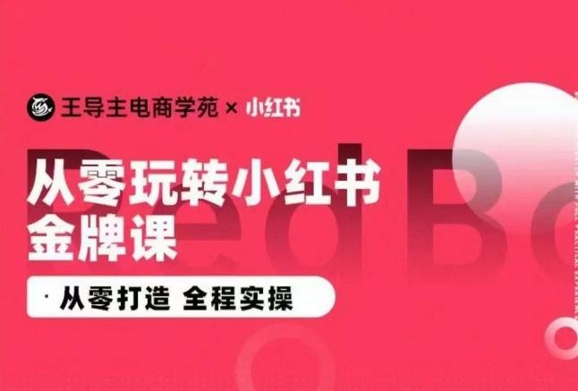 王导主·小红书电商运营实操课，​从零打造  全程实操-一新网创