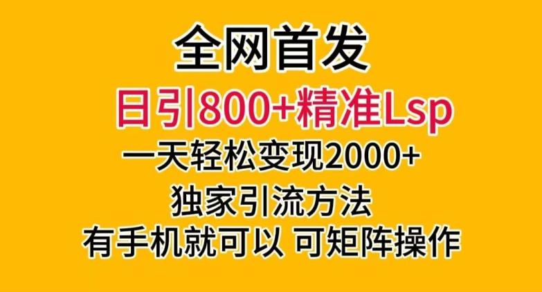 全网首发！日引800+精准老色批，一天变现2000+，独家引流方法，可矩阵操作【揭秘】-一新网创