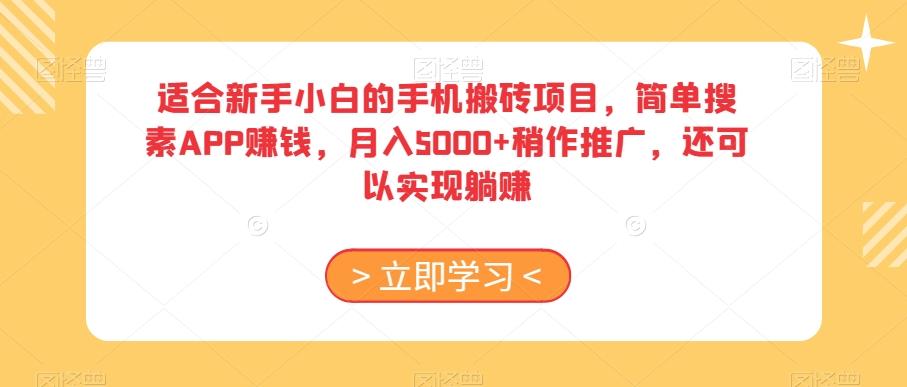 适合新手小白的手机搬砖项目，简单搜素APP赚钱，月入5000+稍作推广，还可以实现躺赚【揭秘】-一新网创