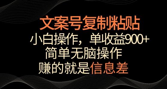 文案号掘金，简单复制粘贴，小白操作，单作品收益900+【揭秘】-一新网创