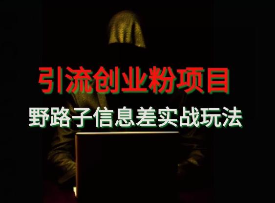 【引流创业粉】野路子信息差玩法实战教学-一新网创