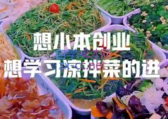 李记·精品凉拌菜系列热卤系列教程-一新网创