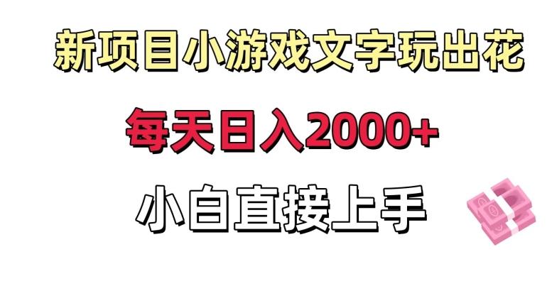 新项目小游戏文字玩出花日入2000+，每天只需一小时，小白直接上手【揭秘】-一新网创