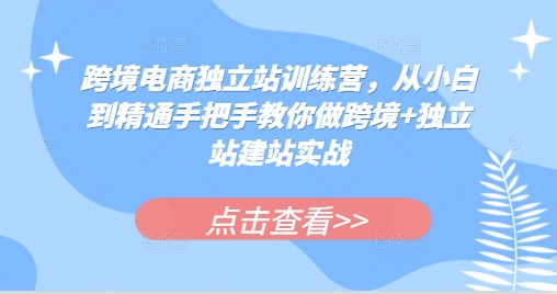 跨境电商独立站训练营，从小白到精通手把手教你做跨境+独立站建站实战-一新网创