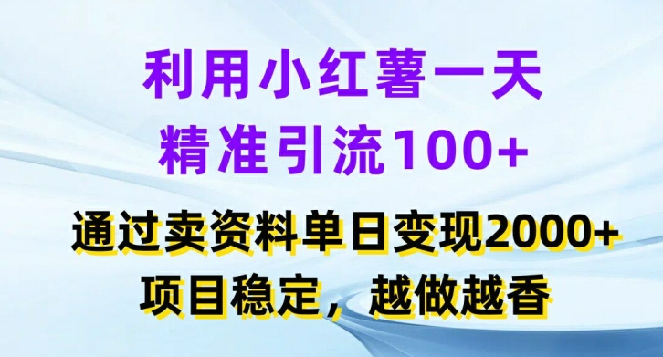 利用小红书一天精准引流100+，通过卖项目单日变现2k+，项目稳定，越做越香【揭秘】-一新网创
