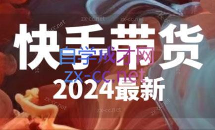 快手带货(2024最新)-一新网创