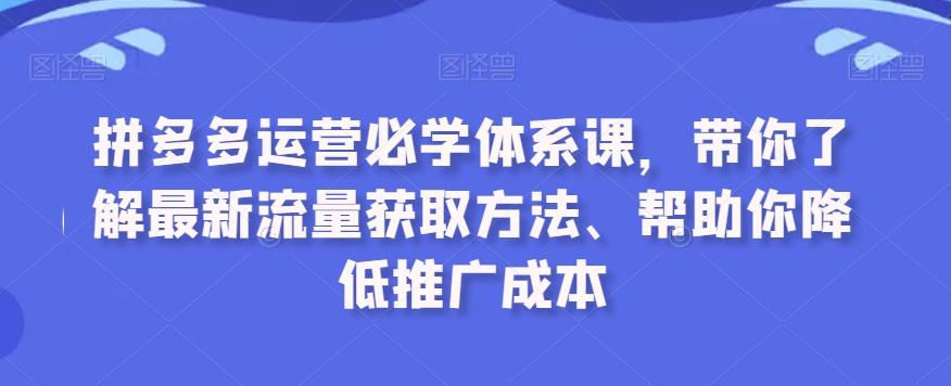 拼多多运营必学体系课，带你了解最新流量获取方法、帮助你降低推广成本-一新网创