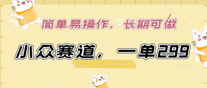 小众赛道，一单299.简单易操作，长期可做【揭秘】-一新网创