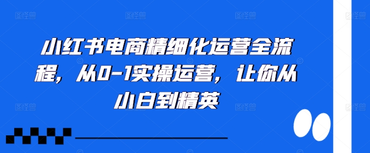 小红书电商精细化运营全流程，从0-1实操运营，让你从小白到精英-一新网创