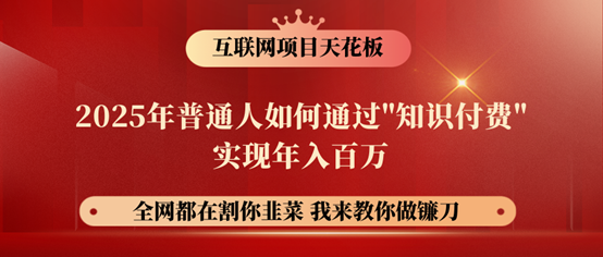 镰刀训练营超级IP合伙人，25年普通人如何通过“知识付费”年入百万！-一新网创