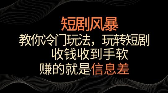 短剧风暴，教你冷门玩法，玩转短剧，收钱收到手软【揭秘】-一新网创