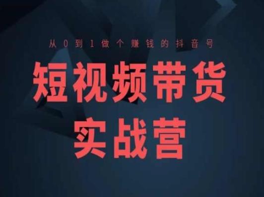短视频带货实战营(高阶课)，从0到1做个赚钱的抖音号-一新网创
