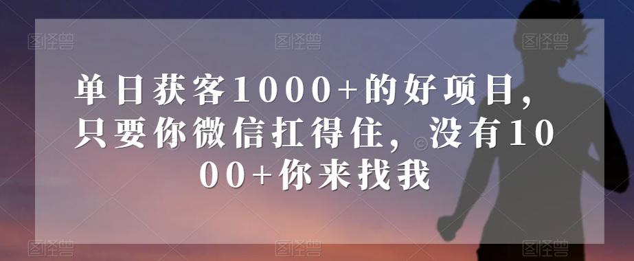 单日获客1000+的好项目，只要你微信扛得住，没有1000+你来找我【揭秘】-一新网创