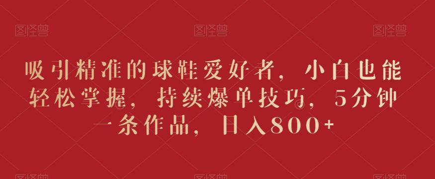 吸引精准的球鞋爱好者，小白也能轻松掌握，持续爆单技巧，5分钟一条作品，日入800+【揭秘】-一新网创