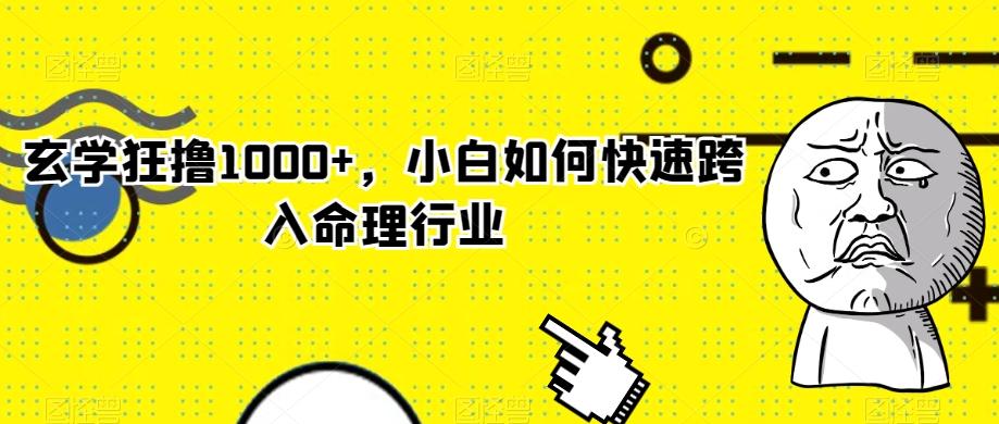玄学狂撸1000+，小白如何快速跨入命理行业-一新网创