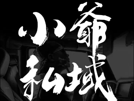 小爷·私域项目操盘手-一新网创