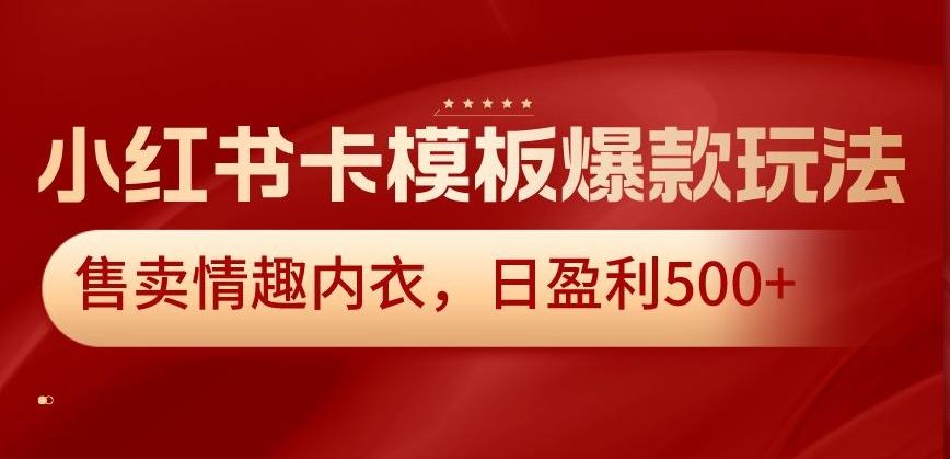 小红书卡模板爆款玩法，售卖情趣内衣，日盈利500+【揭秘】-一新网创