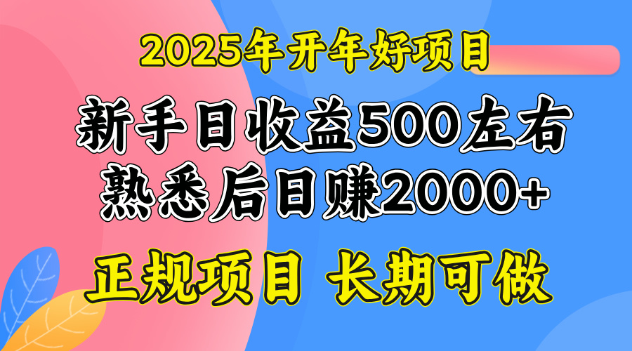 2025开年好项目，单号日收益2000左右-一新网创