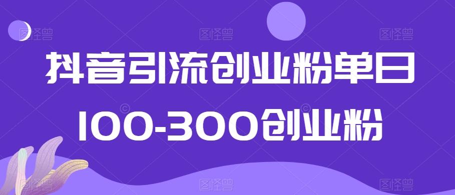 抖音引流创业粉单日100-300创业粉【揭秘】-一新网创