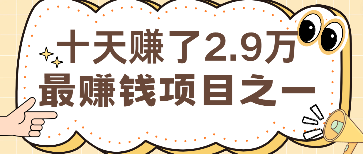 闲鱼小红书最赚钱项目之一，纯手机操作简单，小白必学轻松月入6万+-一新网创