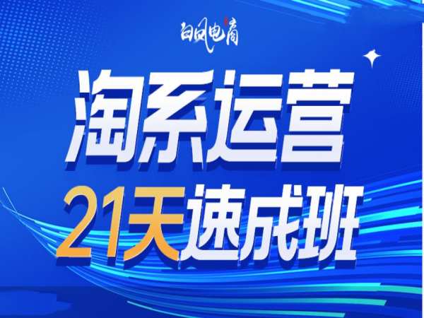 淘系运营21天速成班35期，年前最后一波和2025方向-一新网创