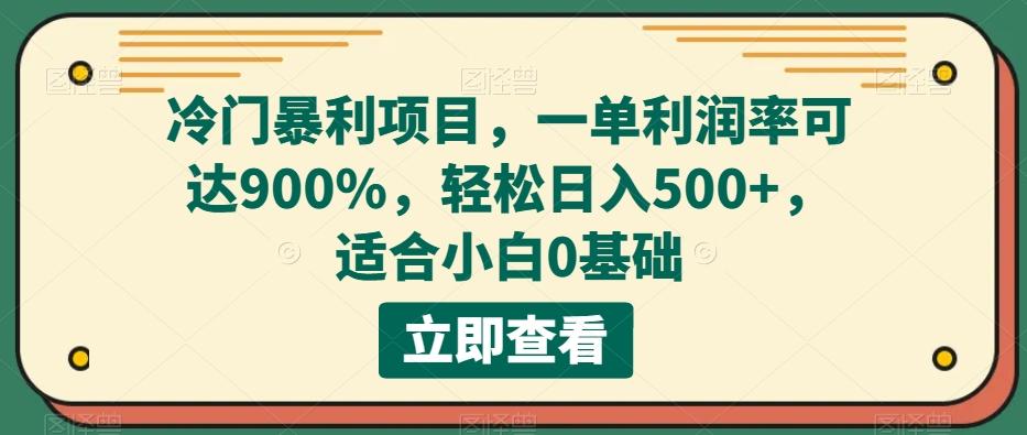冷门暴利项目，一单利润率可达900%，轻松日入500+，适合小白0基础-一新网创