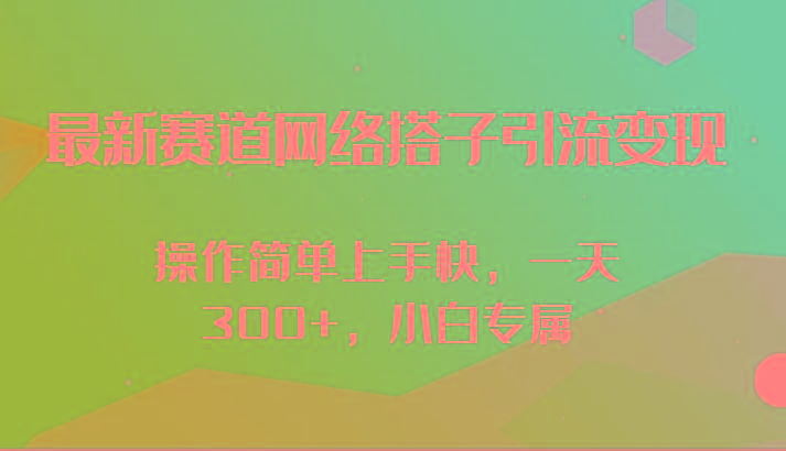 最新赛道网络搭子引流变现!!操作简单上手快，一天300+，小白专属-一新网创