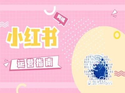 小红书运营指南，没有套路，全是经验-一新网创