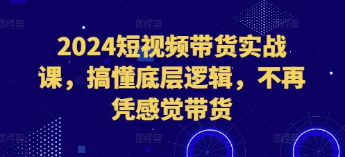 2024短视频带货实战课，搞懂底层逻辑，不再凭感觉带货-一新网创
