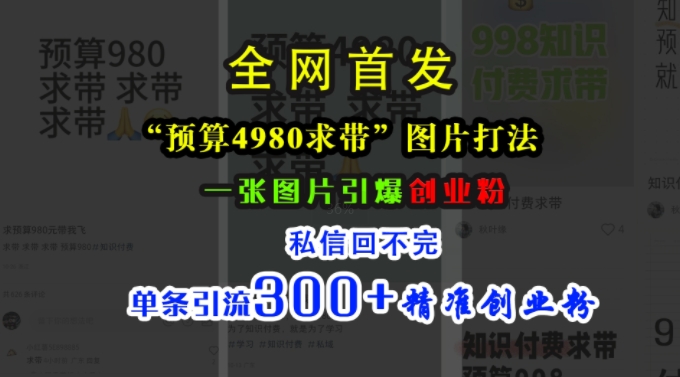小红书“预算4980带我飞”图片打法，一张图片引爆创业粉，私信回不完，单条引流300+精准创业粉-一新网创